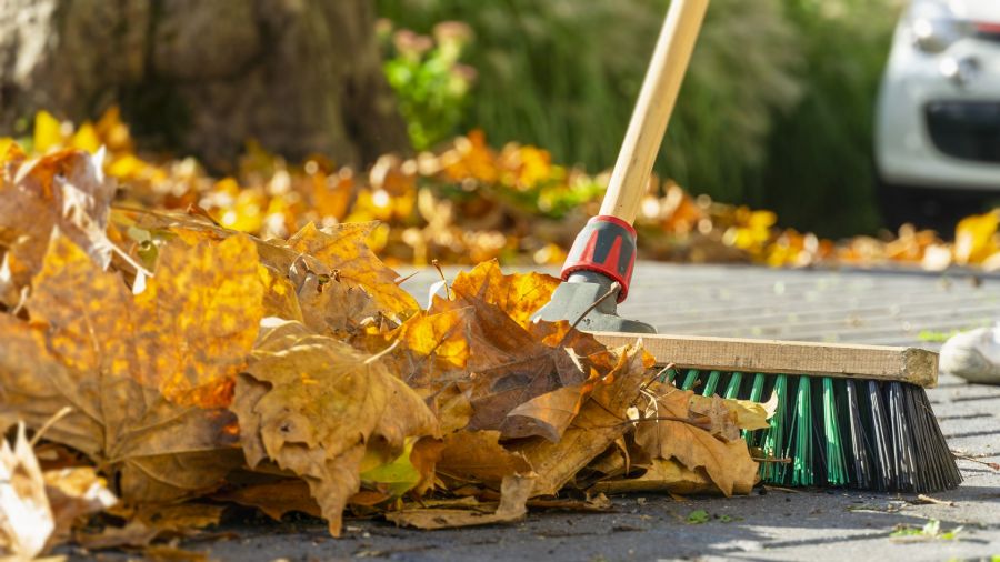 Fall Clean up by Clean Slate Landscape & Property Management, LLC