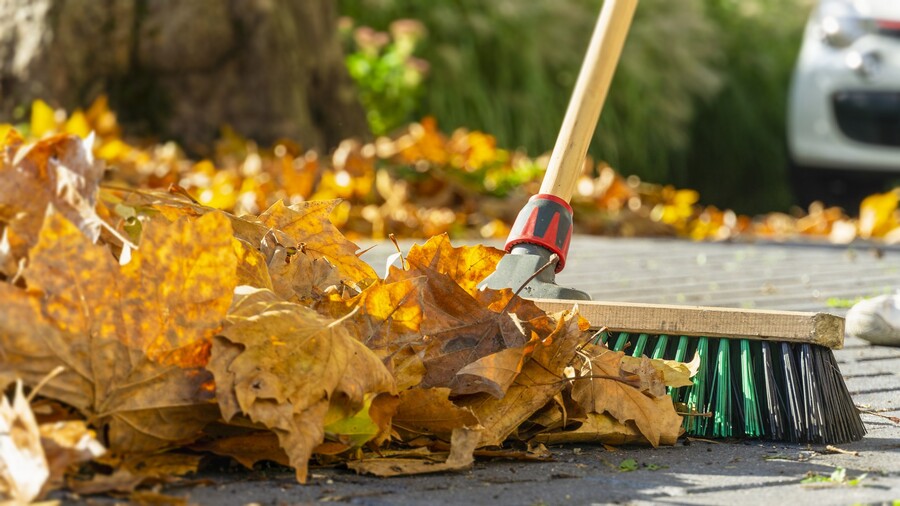 Leaf removal by Clean Slate Landscape & Property Management, LLC.