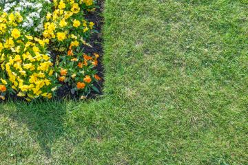 Lawn Edging in Mendon by Clean Slate Landscape & Property Management, LLC