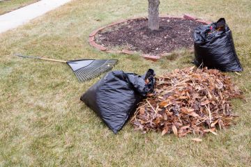 Leaf Removal in South Walpole by Clean Slate Landscape & Property Management, LLC