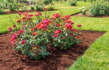 Millis mulch delivery and installation