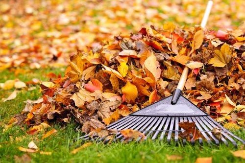 Fall Clean Up Services by Clean Slate Landscape & Property Management, LLC