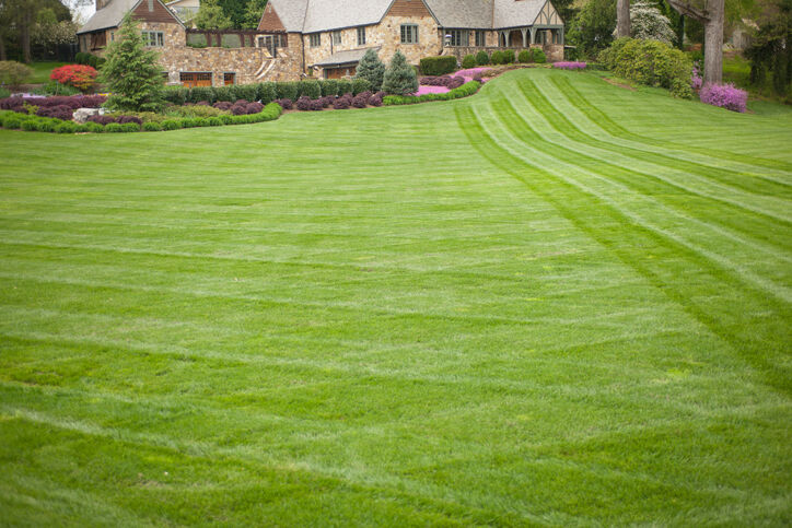 Lawn care by Clean Slate Landscape & Property Management, LLC.