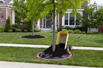 Mulching in Newtonville Services