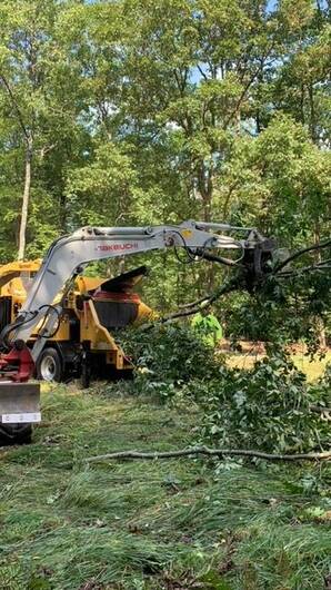 Landscape Clearing in Framingham, MA (1)
