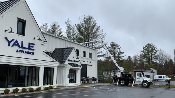 Commercial Tree Services in Framingham, MA (1)