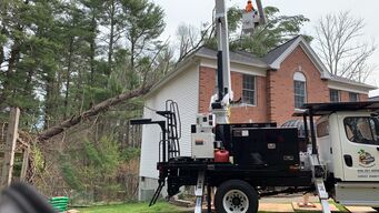 Tree Services in Newton, MA (1)