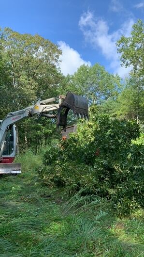 Landscape Clearing in Framingham, MA (2)