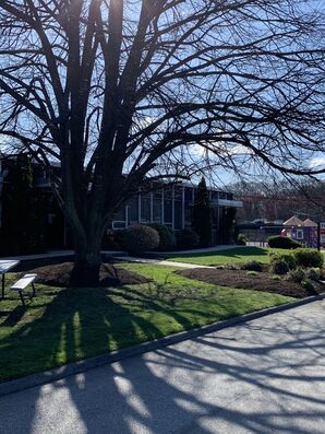Commercial landscaping in Needham, MA (1)