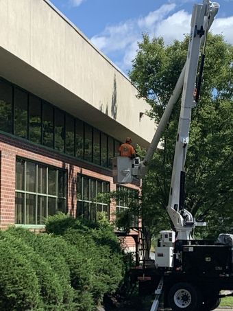 Commercial Tree Services in Newton, MA (1)