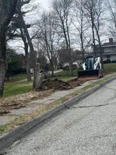 Spring Clean Up in Newton, MA (3)