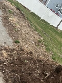 Spring Clean Up in Newton, MA (1)
