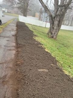 Spring Clean Up in Newton, MA (2)